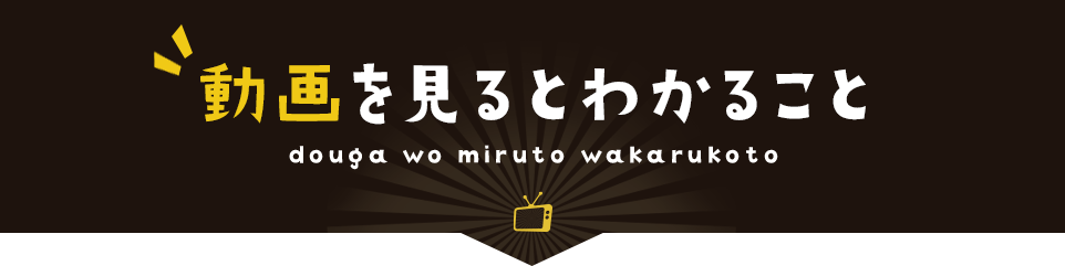 動画を見るとわかること